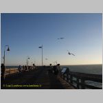 20060827_26Ventura_005 copia.jpg